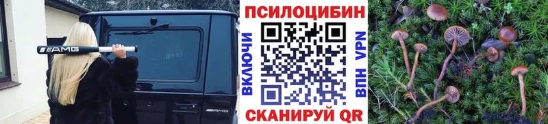 Галлюциногенные грибы мицелий  Бор 